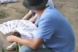 莲花对付老赖：刘小姐被老赖拖欠货款