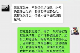 莲花遇到恶意拖欠？专业追讨公司帮您解决烦恼