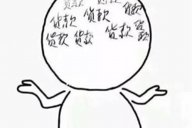 莲花专业催债公司的市场需求和前景分析